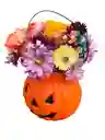 Calabaza Y Flores