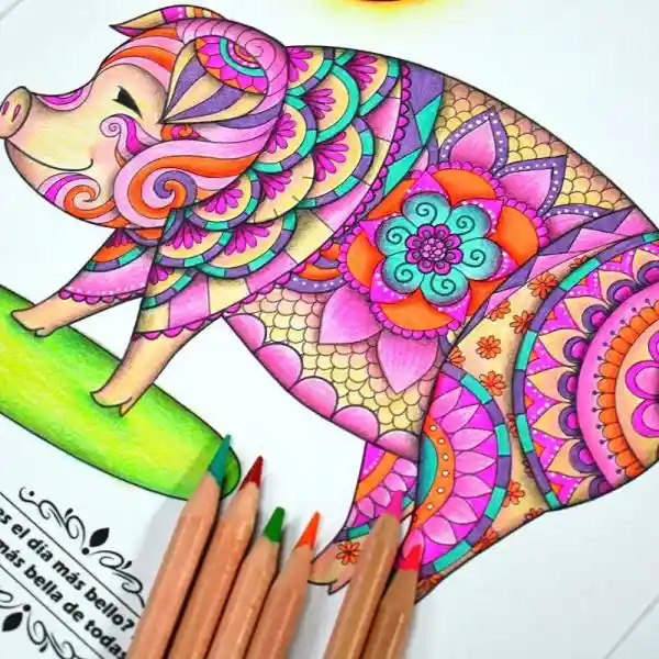 Kit Mandala Para Colorear # 2 Arterapia