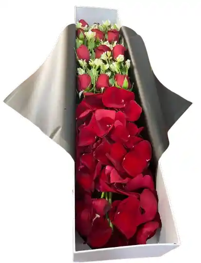 Caja Rectangular Blanca – Rosas Rojas Y Alstroemerias