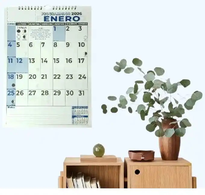 Planeador 2026 Grande Vertical