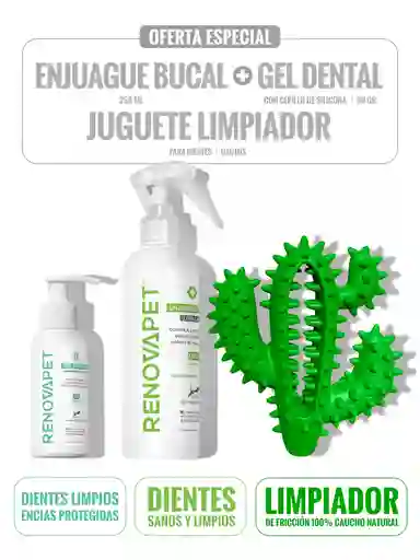Kit Enjuague Bucal 250 Ml + Gel Dental 60 Gramos + Cactus Limpiador