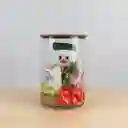 Regalo Detalle Muñeco De Nieve De Peluche Para Cualquier Ocasión