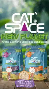 Catspace