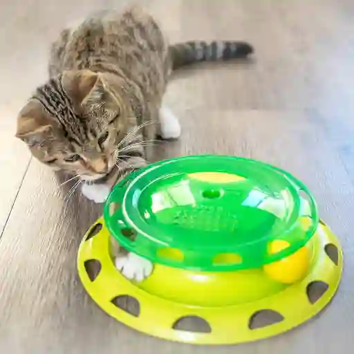 Jg Petstages Gato Gimnasio Mini Catnip Chaser