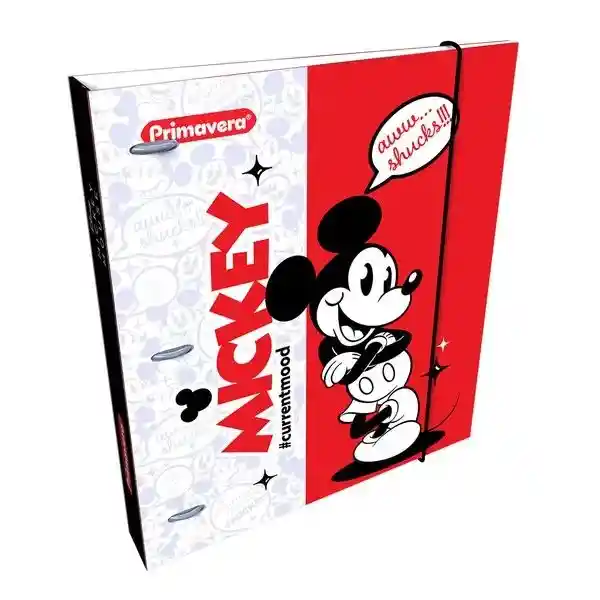 Folder Carpeta Pasta Dura Escolar Con Caucho Primavera Disney Hombre