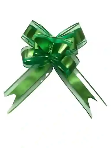 Moño Lazo Para Regalo Verde