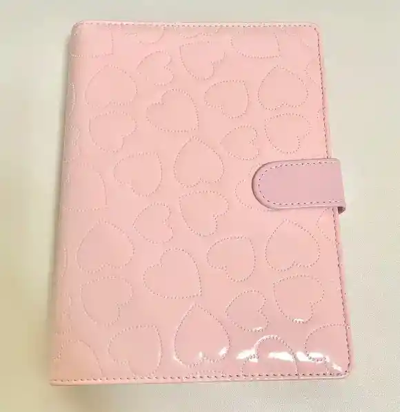 Organizador Financiero Con Bolsillos Plastico Y Organizador En Contraportada Rosado