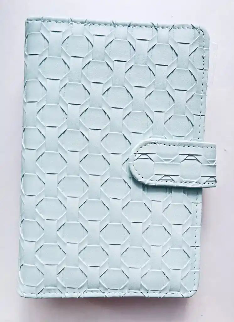 Organizador Financiero Con Bolsillos Plastico Y Organizador En Contraportada Azul Baby