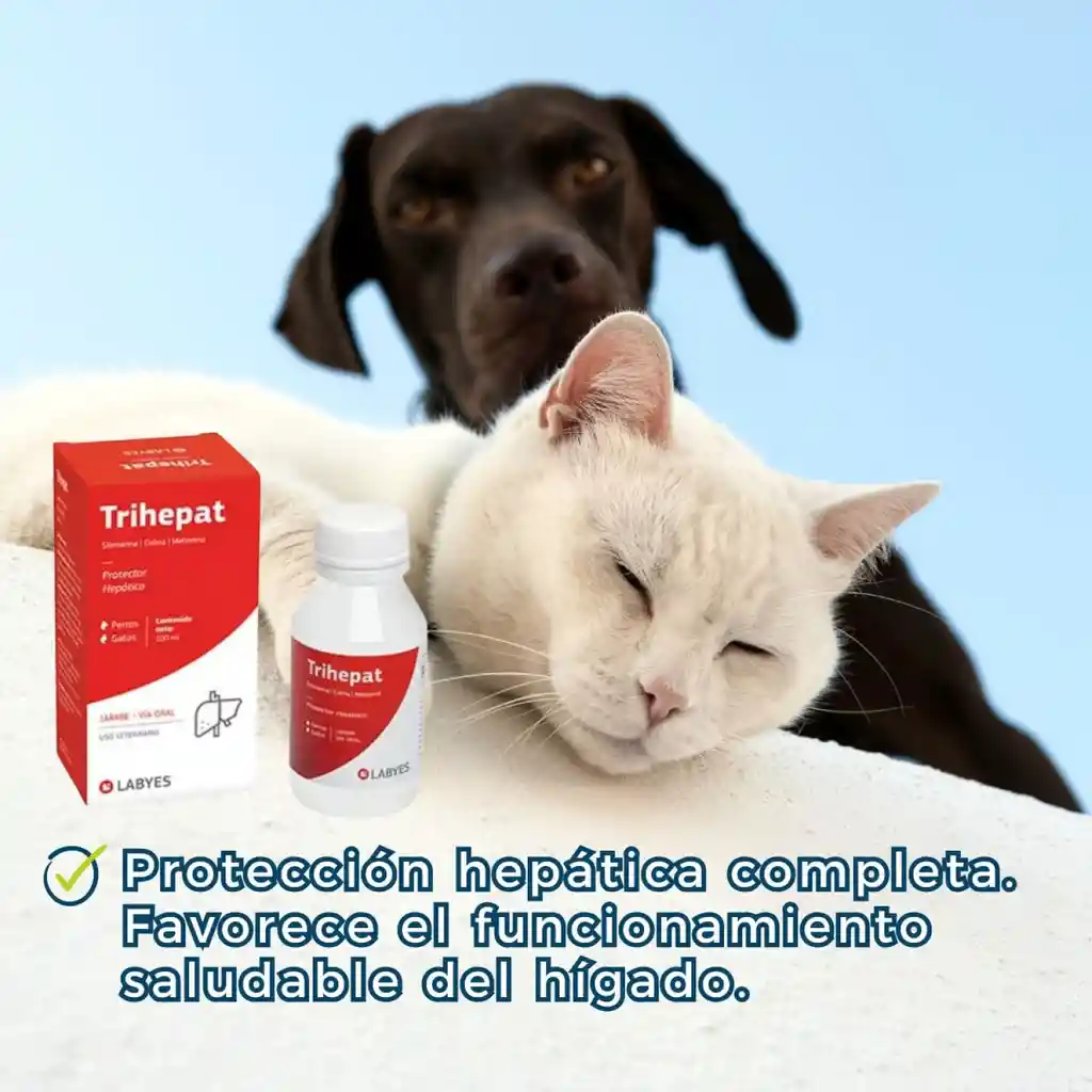 Trihepat Jarabe 100ml