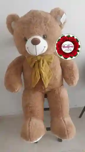 Oso Marron Corbata Azul