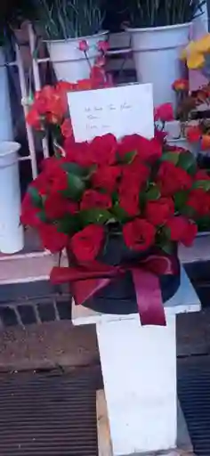 ❤️ Eterno Rubí – Caja De Rosas Rojas