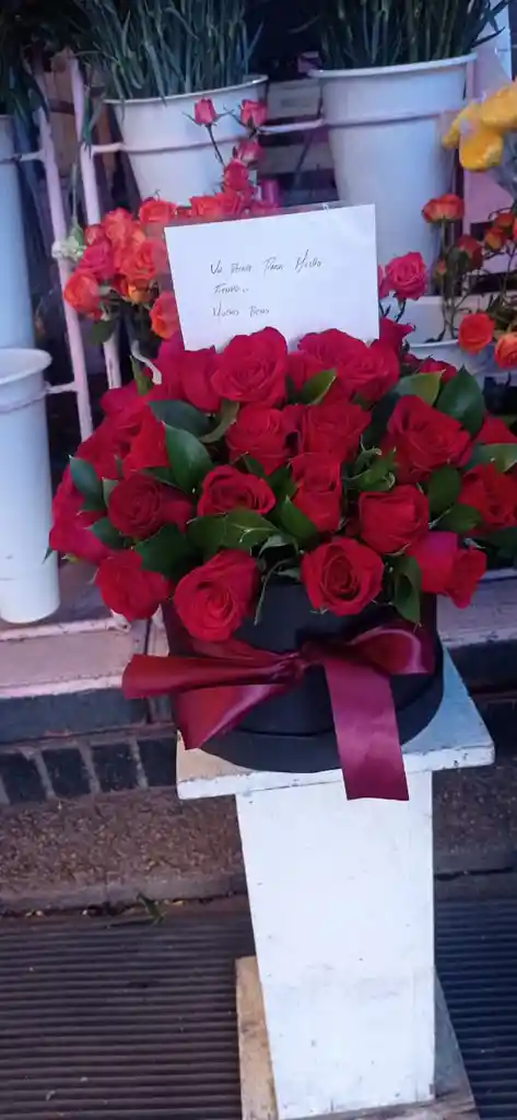 ❤️ Eterno Rubí – Caja De Rosas Rojas