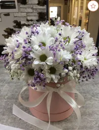 🤍 Caja De Margaritas Blancas Y Lila