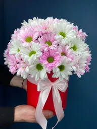 💗 Caja De Margaritas Rosadas Y Blancas