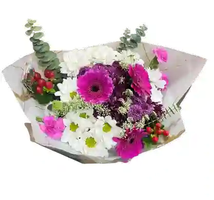 Ramo Fucsia Y Blanco – Gerberas Y Margaritas