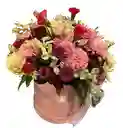 Caja Rosa – Mix Pastel Con Claveles Y Alstroemerias