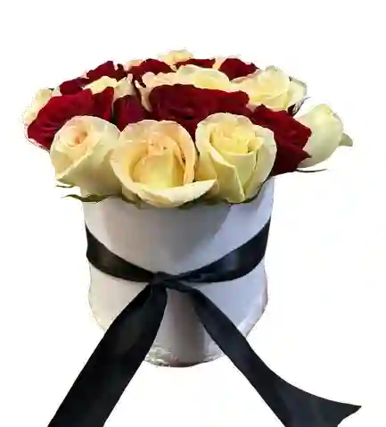Caja Blanca – Rosas Rojas Y Crema