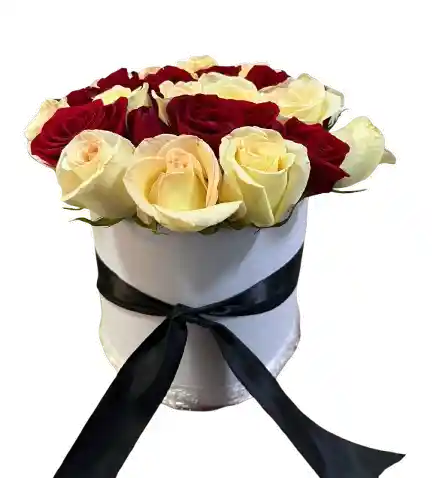Caja Blanca – Rosas Rojas Y Crema