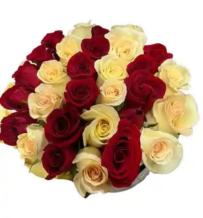 Caja Blanca – Rosas Rojas Y Crema