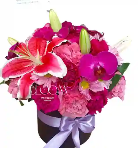 Flores Burbuja Mi Reina