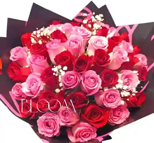 Flores Rosas X48 Mi Princesa