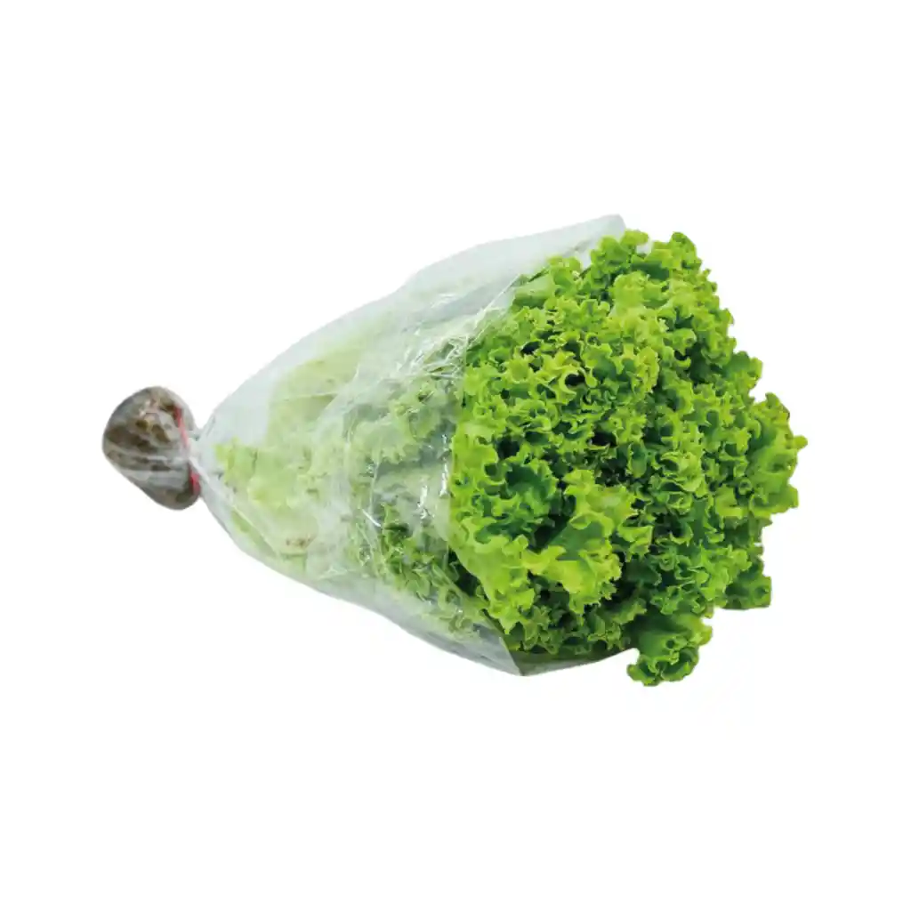 Lechuga Crespa 1 Und