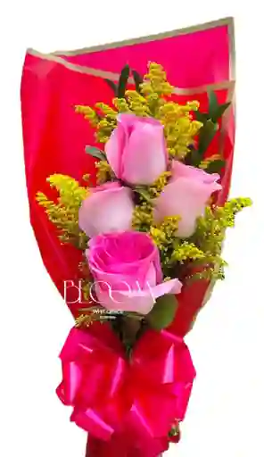 Flores Rosas Lindo Amor