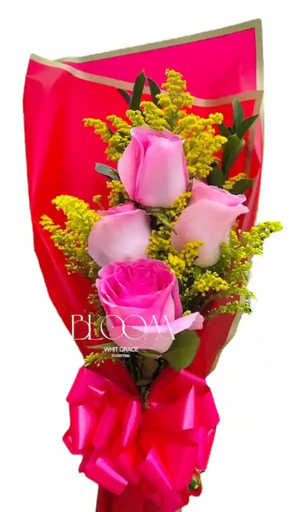 Flores Rosas Lindo Amor