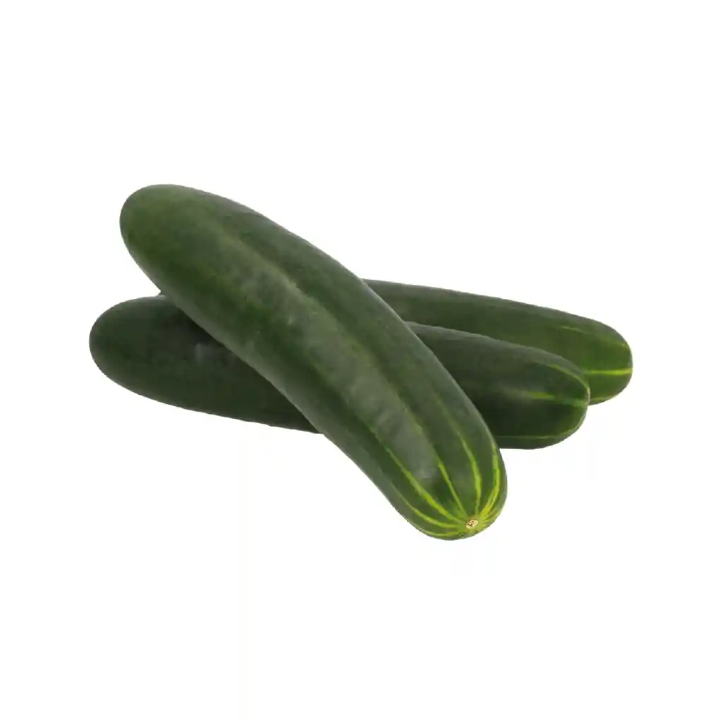 Pepino 1 Lb O 453 Gr