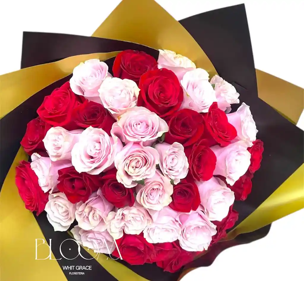 Flores Rosas Rojas Y Rosadas X48