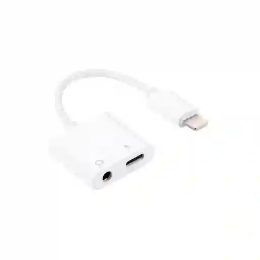 Convertidor Dual Lighning - Audio - Tipoc