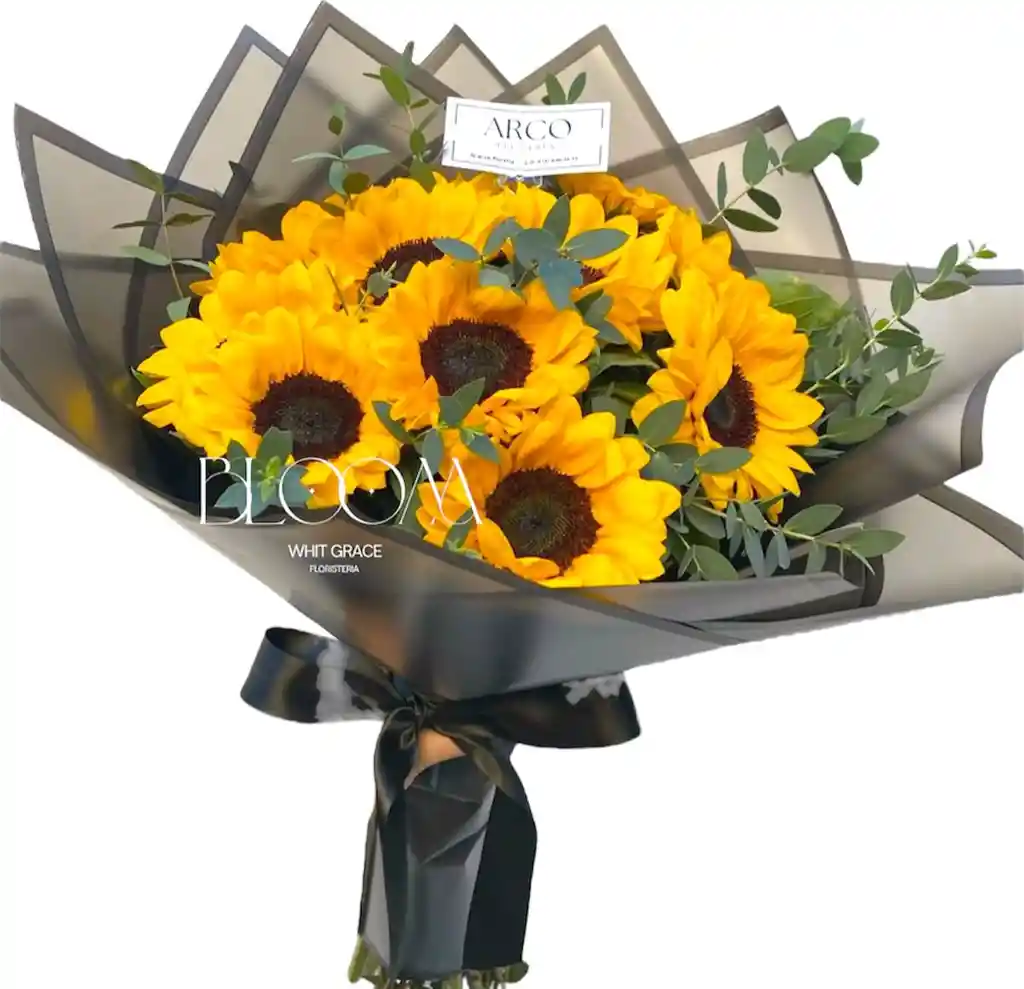 Flores Girasoles Bello Amanecer