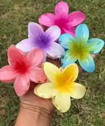 Caiman En Forma De Flor Hawaiana En Colores Degrade