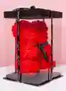 Oso De Rosas Preservadas Rojo