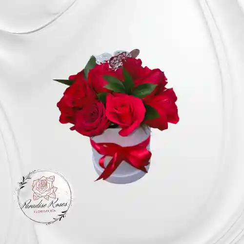 Mini Box Rosa Roja