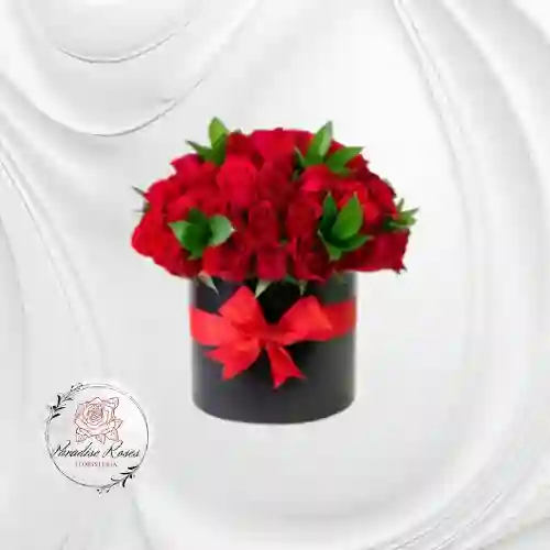 Rosas Rojas Pasión ❤️