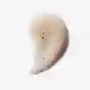 Limpiador Exfoliante En Gel Body Spa Uña De Gato