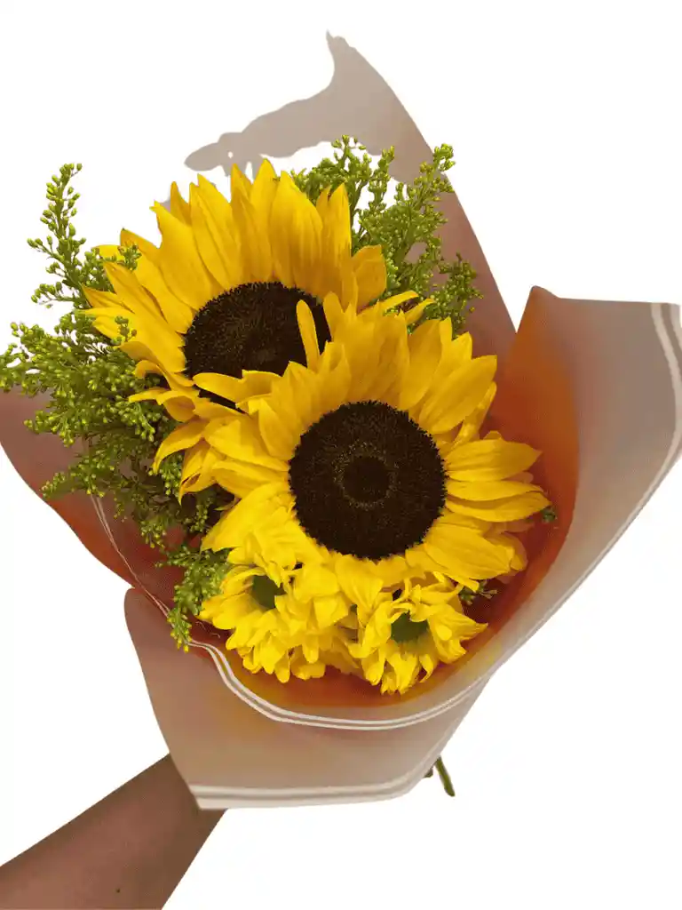 Boquet 2 Girasoles