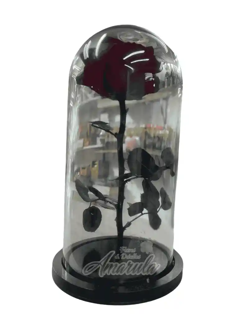 Rosa Preservada En Cúpula