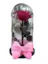 Rosa Preservada En Cúpula