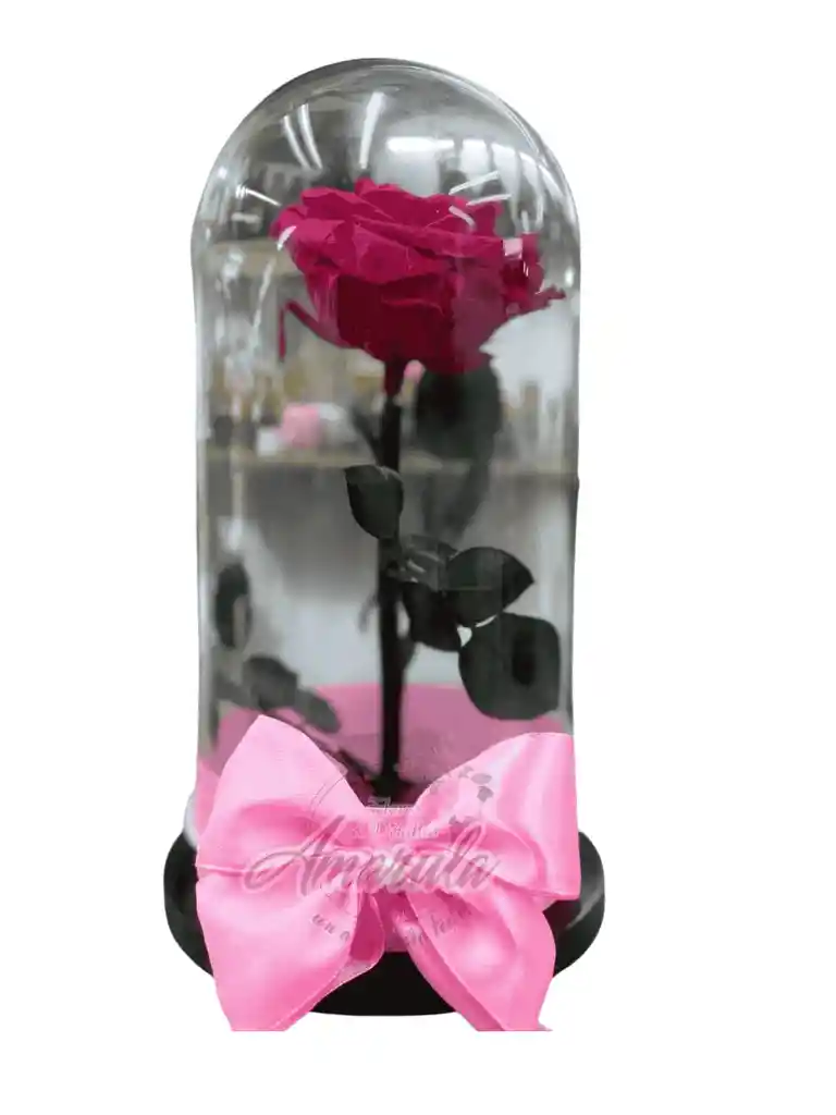Rosa Preservada En Cúpula