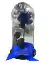 Rosa Preservada En Cúpula