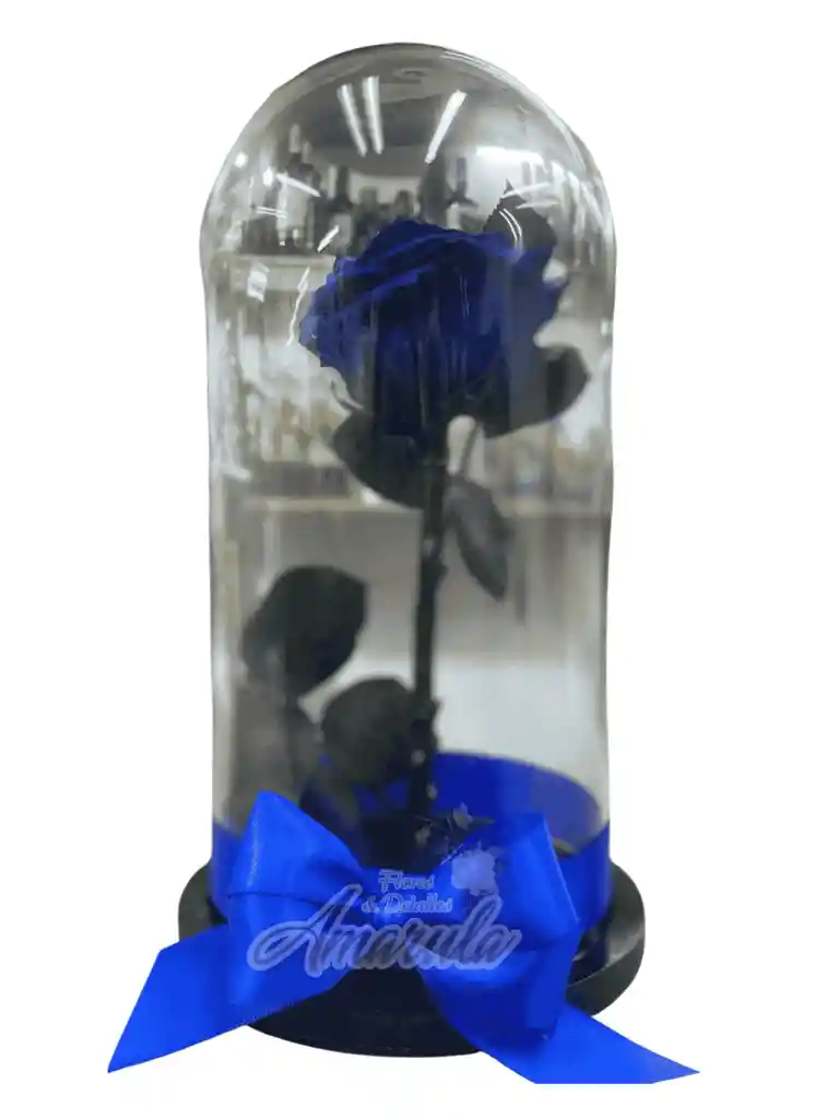 Rosa Preservada En Cúpula