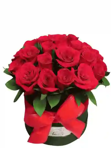 Rosas Rojas En Caja Elegante
