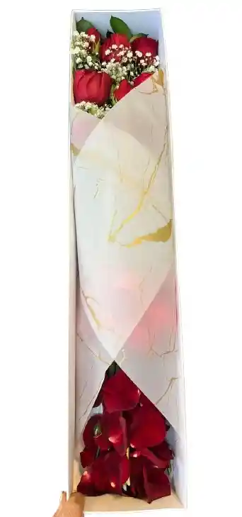 Caja Rectangular Blanca – Rosas Rojas Con Pétalos