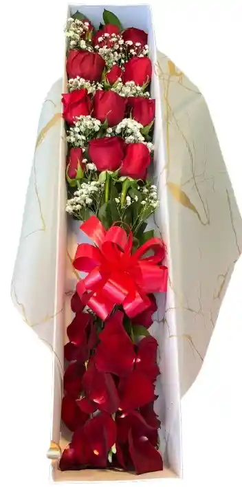 Caja Rectangular Blanca – Rosas Rojas Con Pétalos