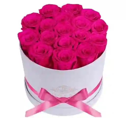 Caja Blanca – Rosas Fucsia Premium
