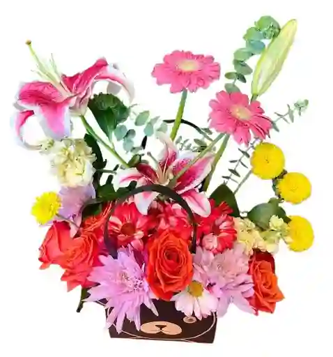 Bolsa Oso – Lirios Stargazer, Gerberas Y Rosas