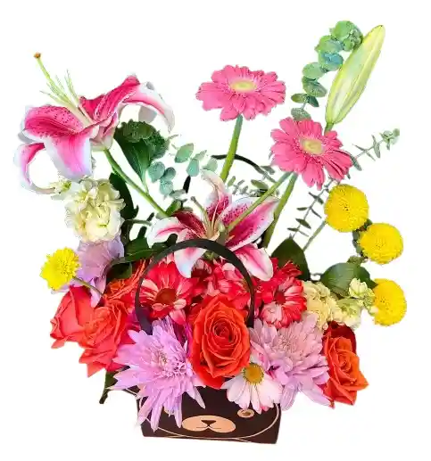 Bolsa Oso – Lirios Stargazer, Gerberas Y Rosas