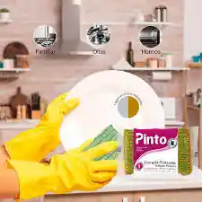 Esponja Trabajo Pesado Pinto